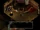 Lassal2.png