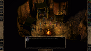 The mod adds new dialogue for core Bioware and Beamdog companions - A Viconia example shown.
