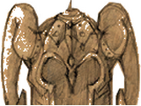Vhailor's Helm