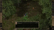 Drizzt 5.png (3.47 MB) Jaheira recognizes Drizzt and interjects a remark.