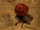 Spore Colony