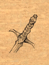 Sword of Arvoreen item artwork BG2