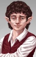 Stanet, a talkative and opinionated halfling, with a sweet tooth.