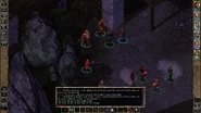 The party hands over the Blood of a Silver Dragon to Fael. Dialogue shown in this screenshot.