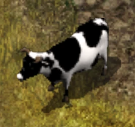 Cow BGEE