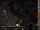 ADAMGOL1.png