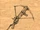 Necaradan's Crossbow