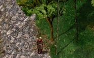 Beregost | Baldur's Gate Wiki | Fandom