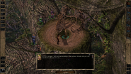 Ellesime addresses Irenicus after she is uncaged.