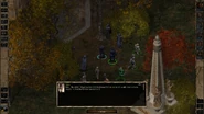 Screenshot of Odren addressing the party at the initial meeting with the Vigil Knights outside Watcher's Keep.