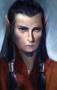 Elven War Sage - "Now make haste; our time is precious and matters of battle must take precedence."