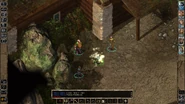 Gorion's Ward casts a Friends spell and his charisma attribute is raised from 12 to 18. This will result in a more favorable trading rate with a group of merchants outside the Imnesvale Inn in the Umar Hills.