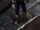 Assassin (Irenicus' Dungeon-2nd Floor/Ulvaryl)