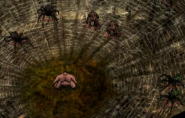 Spiders in the Cloakwood