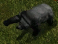Petrified Bear.png (43 KB) A petrified bear from Mutamin's Garden