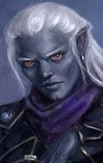 DADROW18.png (74 KB) Spelljammer Drow - This ship captain may say - "Three quick runs to Anadia and I swear you'll have halfling slaves to feed driders for a century. The Spider Queen visited me herself once... I kid you not."