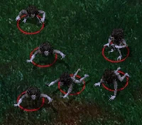 A common grouping