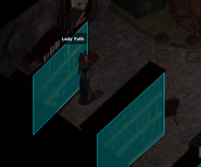 Selling scrolls at the back of the Adventurer Mart