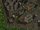 Southwest Baldur's Gate