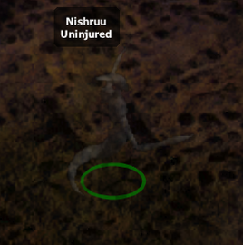 Nishruu