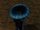 Myconid King