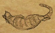 Dead Cat item artwork BGEE.png (69 KB) Drienne's cat, resting peacefully