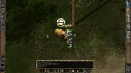 OG Hold Animal 1.png (2.3 MB) Minsc casts Hold Animal upon a hostile Brown Bear and it fails its saving throw as is Held. The nearby Rabbit is unaffected by the spell, as it isn't an "enemy" red-circled creature.