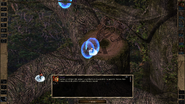 Gorion's Ward feels something strange going on within. Something to do with the bhaalspawn soul after Irenicus died.