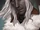 Drizzt Do'Urden