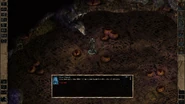 Screenshot of Sarevok's initial remark when the party nears the wraith-like figure.