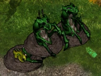 BGEE Ankheg3.png (1.18 MB) One dropping shells upon death, while another fires acidic projectile.