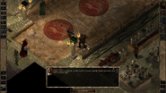 An Amnian Soldier tells a party member they should be proud of Amnian influence.