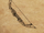 Shortbow of Gesen