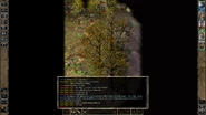 The party spots several of these soldiers ahead when first travelling to this area - these warriors are already hostile.