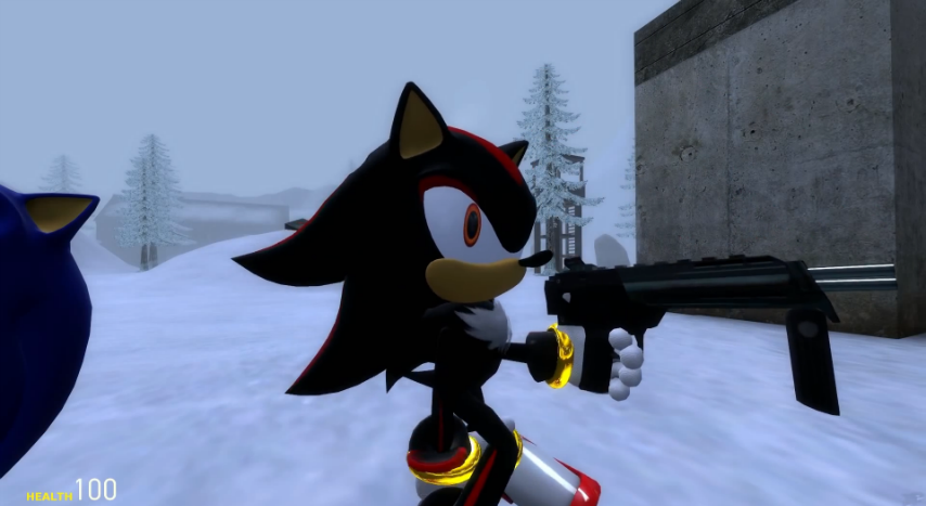 shadow the hedgehog with a gun