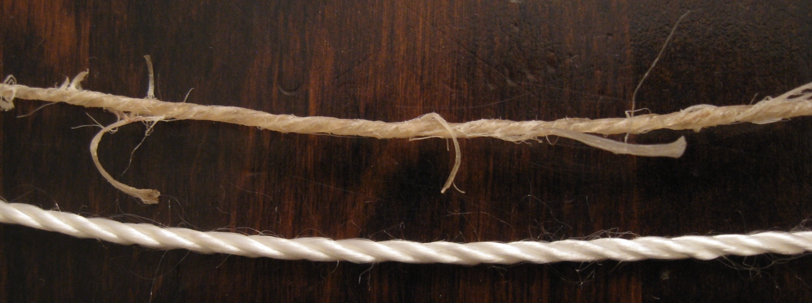 Case study: comparison of elasticity of sinew and nylon cord, Greek and  Roman Artillery Wiki