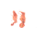Burning Feet.png