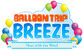 Nintendo Land: Balloon Trip Breeze