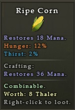 Corn.jpg