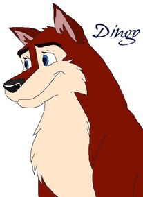 Dingo