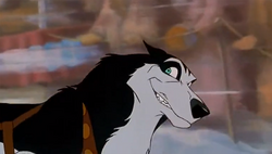wallpapers Balto Steele Death Fanfiction steele balto wiki fandom