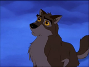 Balto 023