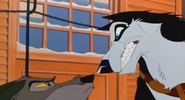 Steele threatens Balto