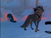 Balto21