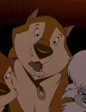 Golden Malamute Balto trilogy Wiki Fandom