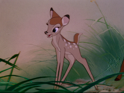 Und feline bambi Faline and