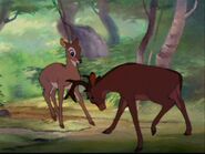 Bambi-bambi-5797307-1280-960