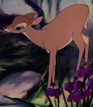 Bambi und feline