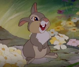 Thumper