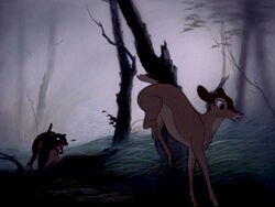 Hunting Dogs Gallery Bambi Wiki Fandom